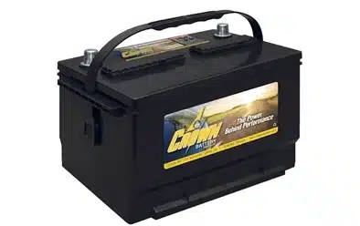Automotive Starter Batteries